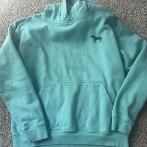 Kids Aqua Pullover Hoodie with Horse Logo